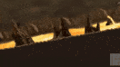 DownHell Collab 3
