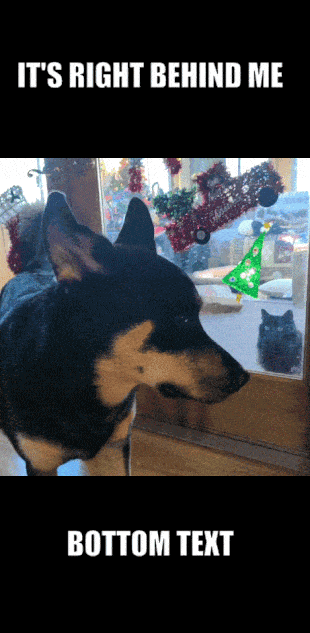 sidebar-lol-387.gif
