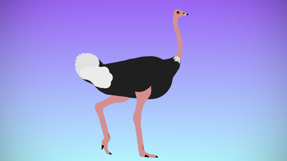 Masai Ostrich Pack
