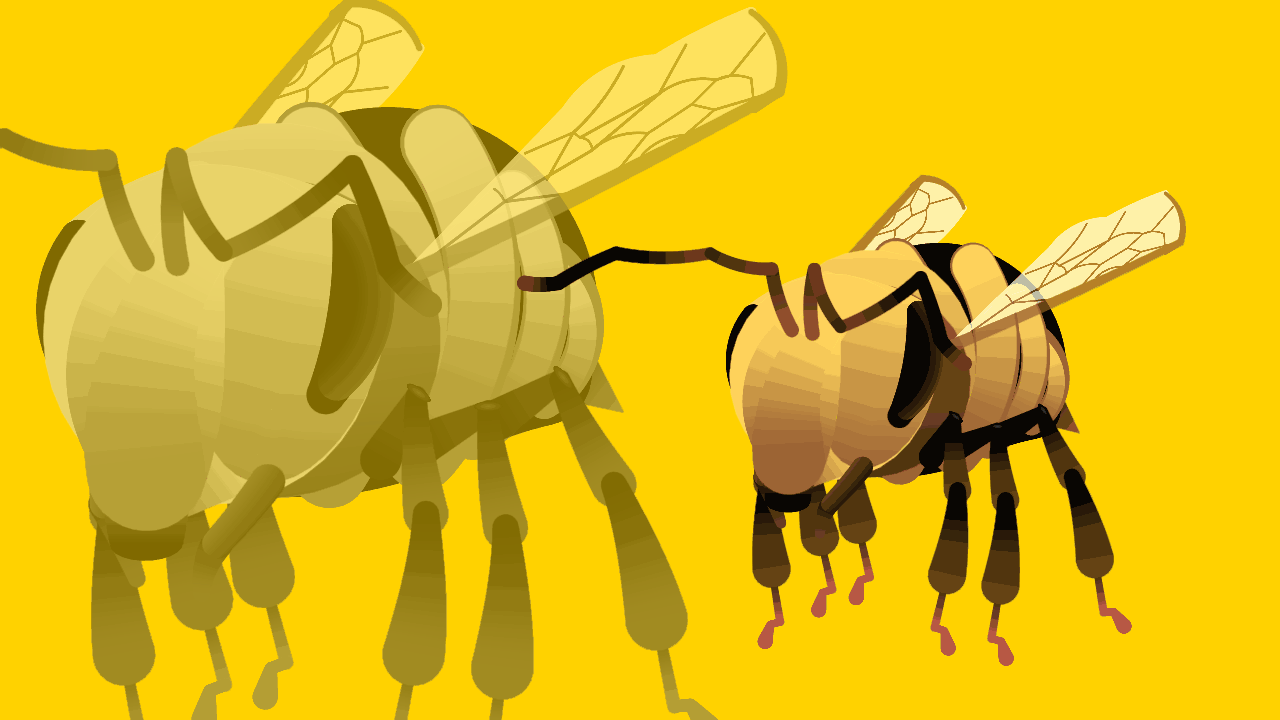 360 Bee Movieclip
