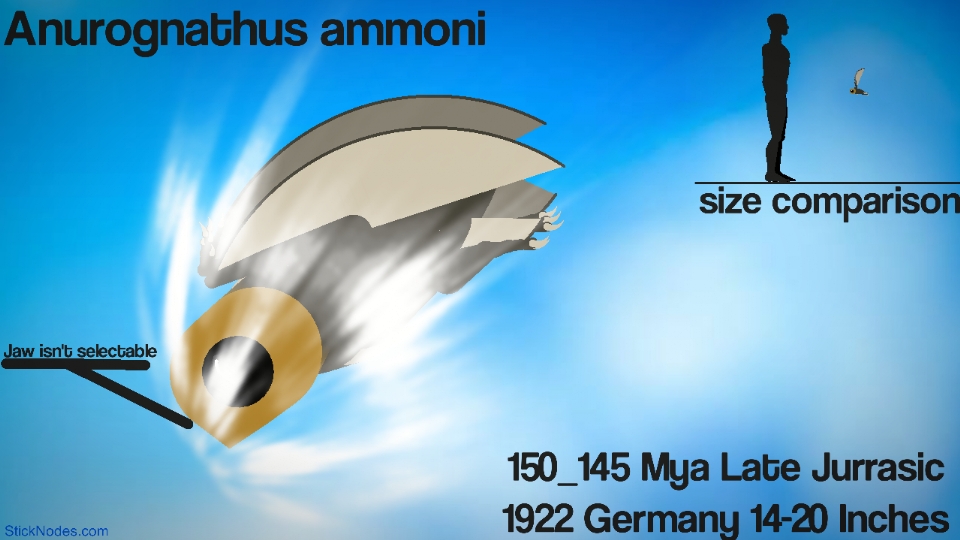 Anurognathus Ammoni Pack