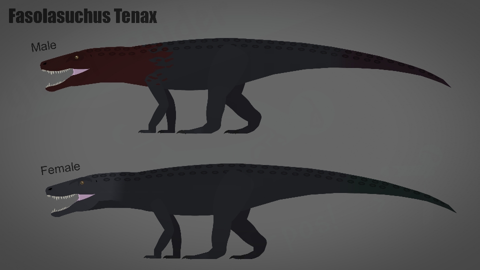 Fasolasuchus Tenax Pair Movieclip
