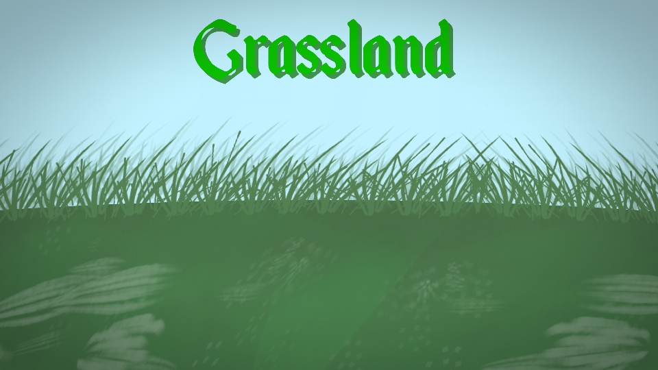 Grassland Background Movieclip