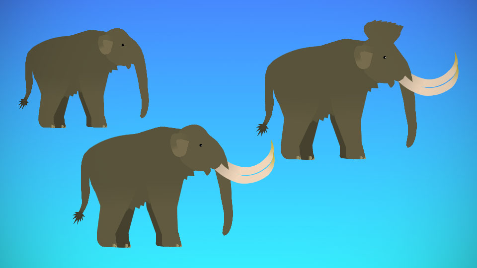Pygmy Mammoth Pack