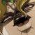 Profile picture of NeedLess The Complete Idiot