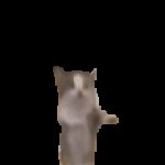 Profile picture of Ery gets punched