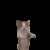 Profile picture of Ery gets punched