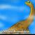 Profile picture of JPDino