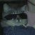 Profile picture of Silver_Morty