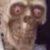 Profile picture of No
