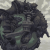 Profile picture of Haunted One