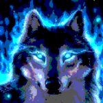 Profile picture of NoBoku