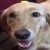 Profile picture of Butter