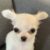 Profile picture of Ben tsh