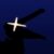 THE ANIMATED BIRD