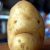 Profile picture of Potato