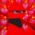 Profile picture of Trippy Mation