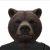 Profile picture of Bear
