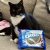Profile picture of OreoTheStickCat