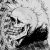 Profile picture of Goku SSGSS