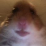 Profile picture of Jamaurice mortimer