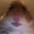 Profile picture of Jamaurice mortimer