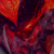Profile picture of Fracassado