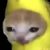 Profile picture of Treeboi76