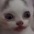 Profile picture of Bubbles