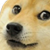 Profile picture of joynick