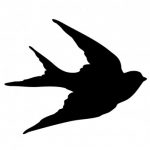 Profile picture of Tahir Bakhsh