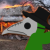 Profile picture of Plaged