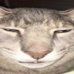 Profile picture of Ori