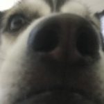 Profile picture of efgio63