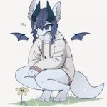Novasupremeraccoon