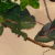 Profile picture of Bhipo