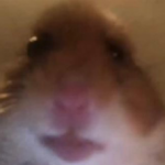 Profile picture of BadWolf