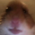 Profile picture of BadWolf