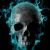 Profile picture of Aidan Glissmann
