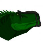 r-rex animations