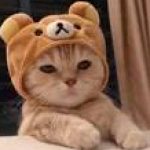 Samir Samcat k-w