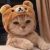 Profile picture of Samir Samcat k-w