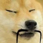 Profile picture of IndoSpino