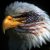 Profile picture of 🇱🇷Thatpatrioticdude🇱🇷