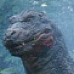 Profile picture of Leonardo