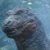 Profile picture of Leonardo