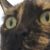 Profile picture of TitinaTheFatCat