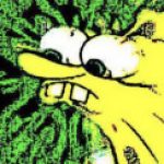 Profile picture of GojiMania
