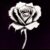 Profile picture of 🥀sᴛɪᴄᴋ ᴍᴀɴɪᴀᴄ🥀