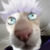 Profile picture of Gubgub